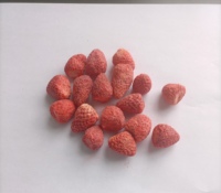 Gevriesdroogd Fruit Poeder/Plak Aardbei/Framboos/Bosbes Vele Soorten Gevriesdroogd Fruit Voor Voedsel Yoghurt Snacks