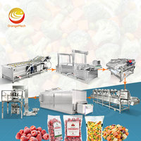 ORME Passievrucht Was- en Drooglijn, Snelvrieslijn, Fruit Ananas Pitaya Sorteer- en Waslijn, Vrieslijn Machine