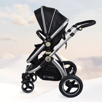 Poussette bébé convertible 2 en 1 avec cadre en aluminium, capote à 3 positions et grandes roues en PU