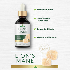Oem/odm ผู้ใหญ่ cognitive ฟังก์ชั่นสนับสนุนสมุนไพรสารสกัดจากธรรมชาติ Lions mane Main เห็ดหยอดการสนับสนุนสุขภาพสมอง - Product Image 4