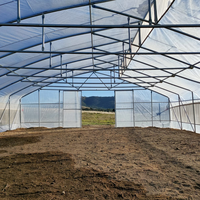 Serre tunnel papillon haut de gamme pour l'agriculture commerciale et la culture de légumes