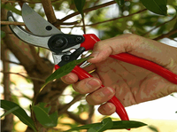 Ciseaux de jardinage à lame recouverte de PTFE pour la taille des plantes et des arbres, et fournitures de couture