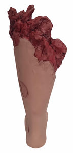 Modelo anatómico forense de extremidades inferiores y piernas para fines médicos y médicos - Product Image 2