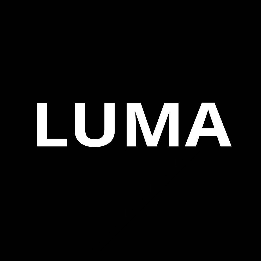 Danyang Luma Auto Parts Co., Ltd. logo