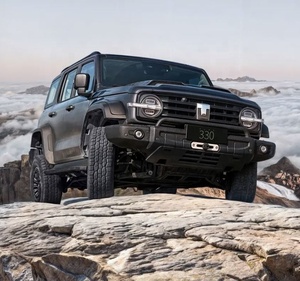 ถัง300รถบักกี้4Wd ติดผนัง2024ใหม่4X4รถ - Product Image 5