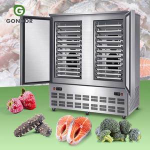 Congelador Criogénico Comercial de Congelación Rápida para Bloques de Hielo y Pollo - Product Image 1