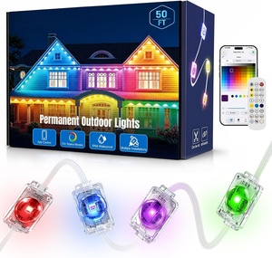 Lampes LED RGBW 12V/24V blanc chaud, étanches IP68, pour aménagement paysager, Noël, fêtes, éclairage extérieur permanent avec contrôleur - Product Image 1