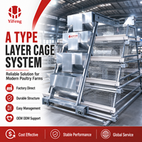 Cage automatique de type A pour poules pondeuses, équipement d'élevage avicole, poulailler en acier galvanisé à chaud