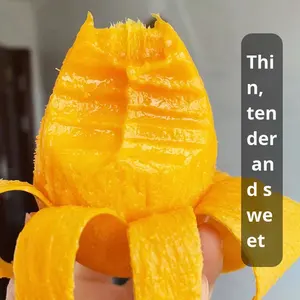 Atacado Sazonal Fresco e Grande Mangas Não-Royal Golden Manges FD Processo Seco De Taichung Agricultores - Product Image 2