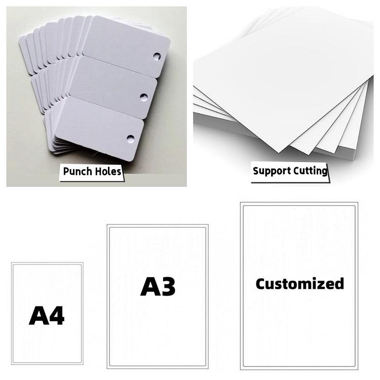 BRINDISI - PRENOTAZIONI CARTE DI IDENTITÀ ELETTRONICHE DAL 5 MAGGIO - Network - Foto 5