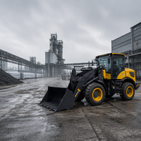 Gebrauchter Frontlader, gebrauchter Radlader für Sand, Kies und Hofarbeiten, Großhandel, Direktexport, Schwerlastgerät