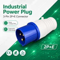Prise électrique industrielle WNS1 IP44 résistante aux éclaboussures 220V en laiton BLEU 2P+E 6H 16A Connecteur de prise d'alimentation 013 16 ampères