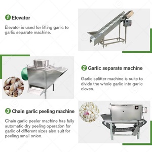 Tỏi Bóng đèn phá vỡ công nghiệp tự động gừng làm cho riêng biệt Peeler Peel máy và dòng sản phẩm trong Ai Cập - Product Image 4