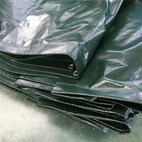 Bâche PE imperméable stratifiée en toile unie pour auvent de jardin, voile d'ombrage, bâche de protection pour bateau, camion, niche pour chien, pour garçons