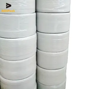 Low Price Polyester Strapping Band Printing Machine Belt