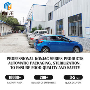 Aliments santé Keto Konjac <span class=keywords><strong>Tripes</strong></span> Konjac Konjac Blanc Ventre Shirataki Blanc Faible en Calorie Marmite Aliments Chinois Végétaliens - Product Image 6