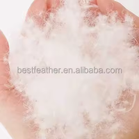 Duvet d'oie blanche