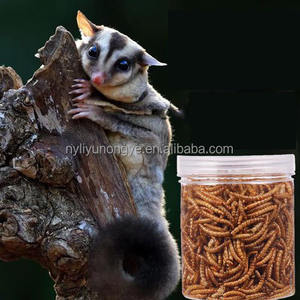 Protein Tenebrio tepung Molitor Weevil Tenebrio Molitor kuning megar makanan ringan kering makanan ringan hewan peliharaan untuk pakan hewan - Product Image 2