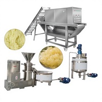 Gember Knoflooksaus Boterpuree Maken Vulmachine Slijpen Gember En Knoflookpasta Productielijn