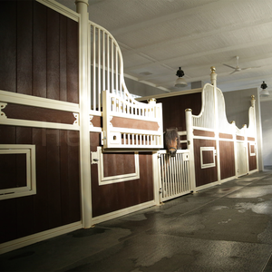 أبواب متأرجحة دائمة للخيول مصنوعة من الفولاذ المجلفن من شركة تشيشيان، اسطبلات خيول مسبقة الصنع متينة - Product Image 6