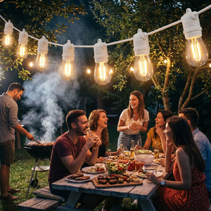 Heavy Duty 50m 100m 240v External Festoon String Lighting <strong>Edison</strong> Outdoor Coloured 15m 25m 30m 40m Festoon Cafe <strong>Lights</strong> - Product Image 3