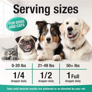 Huile de chanvre biologique pour animaux de compagnie à prix d'usine | Multivitamine + résultats rapides | Soulagement de l'anxiété, mobilité et soutien immunitaire pour chiens et chats - Product Image 5