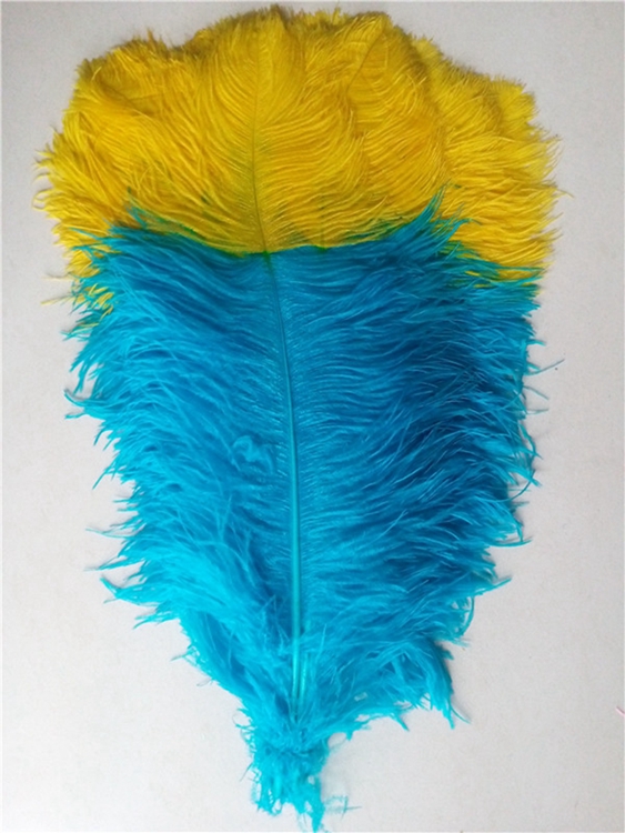 Amarillo+azul