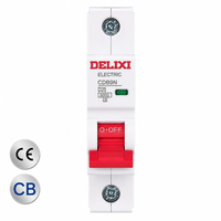 DELIXI CDB9 MCB Mini Circuit Breaker 1P 2P D Curve 25A 6kA DIN Rail Mounting CE Certified Factory Ready Stock