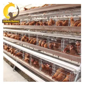 Jinmuren Used Poultry Farming Equipment