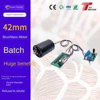 Moteur CC sans balais de 42 mm avec pilote de puce dédié et compatibilité d'encodeur haute résolution 24 V en provenance de Chine