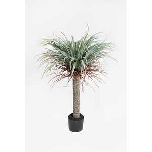Maceta Negra para Yucca de 105 cm - Product Image 1