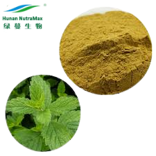 メリッサオフィシナリスL。レモンバーム葉エキスとフラボノイド、ローズマリー酸、<span class=keywords><strong>4</strong></span>:<span class=keywords><strong>1</strong></span>から20:<span class=keywords><strong>1</strong></span>の抽出 - Product Image 5