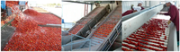 Industrie Volautomatische Tomatenketchup Jam Productie Verpakkingslijn Fruit & Groente Machines