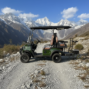 Voiturette de golf électrique au lithium personnalisable 4 places 48 V de qualité supérieure avec personnalisation gratuite de la couleur et du logo pour usage en station balnéaire ou à domicile - Product Image 5