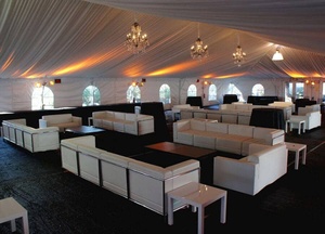 Tienda de campaña personalizada para equipos médicos de gran espacio para ferias comerciales, exposiciones farmacéuticas, eventos de atención médica al aire libre - Product Image 2