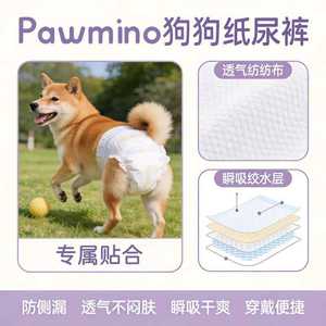 Pañal para Perro Macho Pnwmino, Talla S, Protección Contra Fugas para Perros - Product Image 4