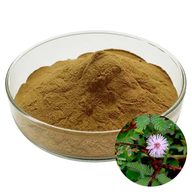 High Quality Natural Organic Plant Extract Mimosa Root Bark Extract Powder 10:1 20:1 Mimosa Root Extract