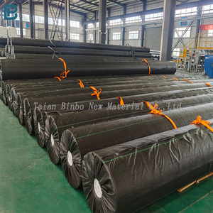 Geomembrana HDPE Impermeabile ed Ecologica a Basso Costo per Rivestimento di Laghetti Artificiali, 200-1500 Micron, Nera, Durata 5+ Anni - Product Image 6
