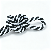 Cordon tressé en polyester DTY éco-responsable à 8 brins, creux, de 1 mm à 12 mm, couleur personnalisée, pour sacs de vêtements et textiles de maison
