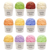 Sachet de 1kg de poudre de gelato certifiée halal aux saveurs multiples Poudre de prémélange de crème glacée dure pour le commerce