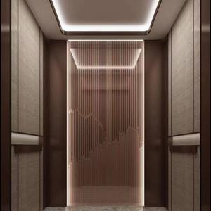 Ascenseur domestique moderne à traction sans engrenages en acier inoxydable avec plancher en PVC pour villa, maison à 2 étages, petit ascenseur résidentiel - Product Image 6