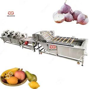 Industrial Hot Sale Automatic Banana Cleaning Vegetable and Green Coconut Fruit Mango Washing and Cutting Machine