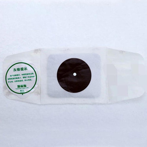 [Remise Fabricant] Dispositif Médical de Classe II : Patch de Thérapie Magnétique Chauffante pour la Prostate - Livraison Disponible à la Vente aux Enchères - Product Image 3