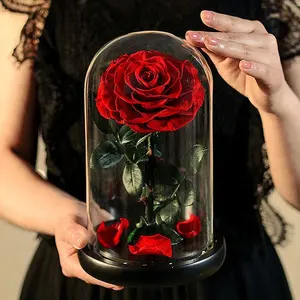 Factory Manufacturer Romantic Glass Dome Roses Forever Roses In Glass Dome Everlasting Preserved Flower Roses In Glass Dome