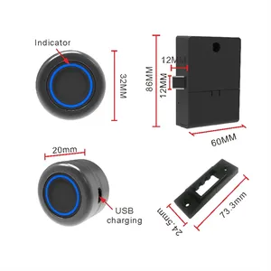 Easy To Install Small Fingerprint Drawer Lock Smart Keyless Electronic Display Cabinet Lock For Shoe Rack Store Cabinets