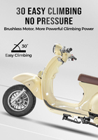 Moteur sans balais 48V 350W pour vélo de ville, batterie lithium-ion/plomb-acide, cadre en fer, suspension avant à 3 vitesses