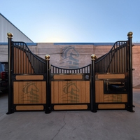 Box de chevaux modulaires préfabriqués en acier inoxydable de style européen, taille 2,5x4m, pour ferme extérieure