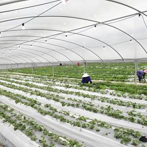 Film de paillage de bonne qualité, réfléchissant, réfracteur, en plastique agricole, pour couverture du sol, noir et argenté - Product Image 1