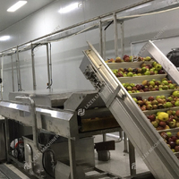 Ligne de production entièrement automatique de concentrés de jus de fruits Bisscap Carotte pomme
