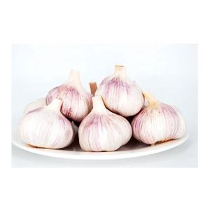 Jining fábrica al por mayor China agrícola fresco normal ajo blanco al por mayor 50mm 55mm 60mm ajo blanco puro para la venta - Product Image 2